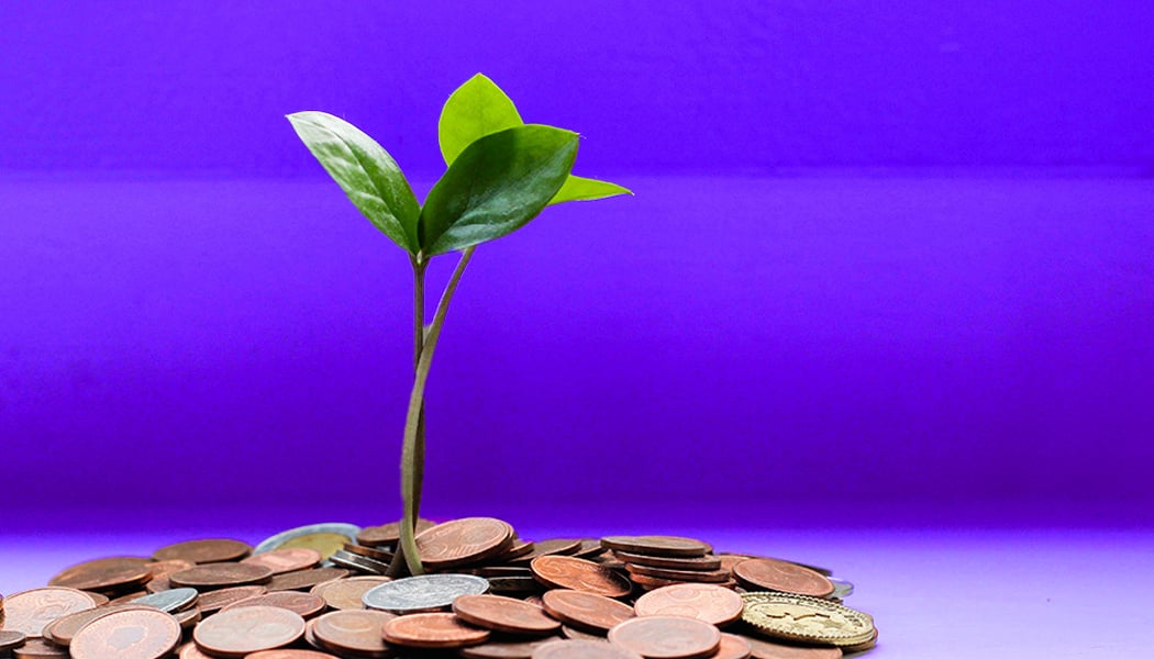 3 - scalable growth - money-tree